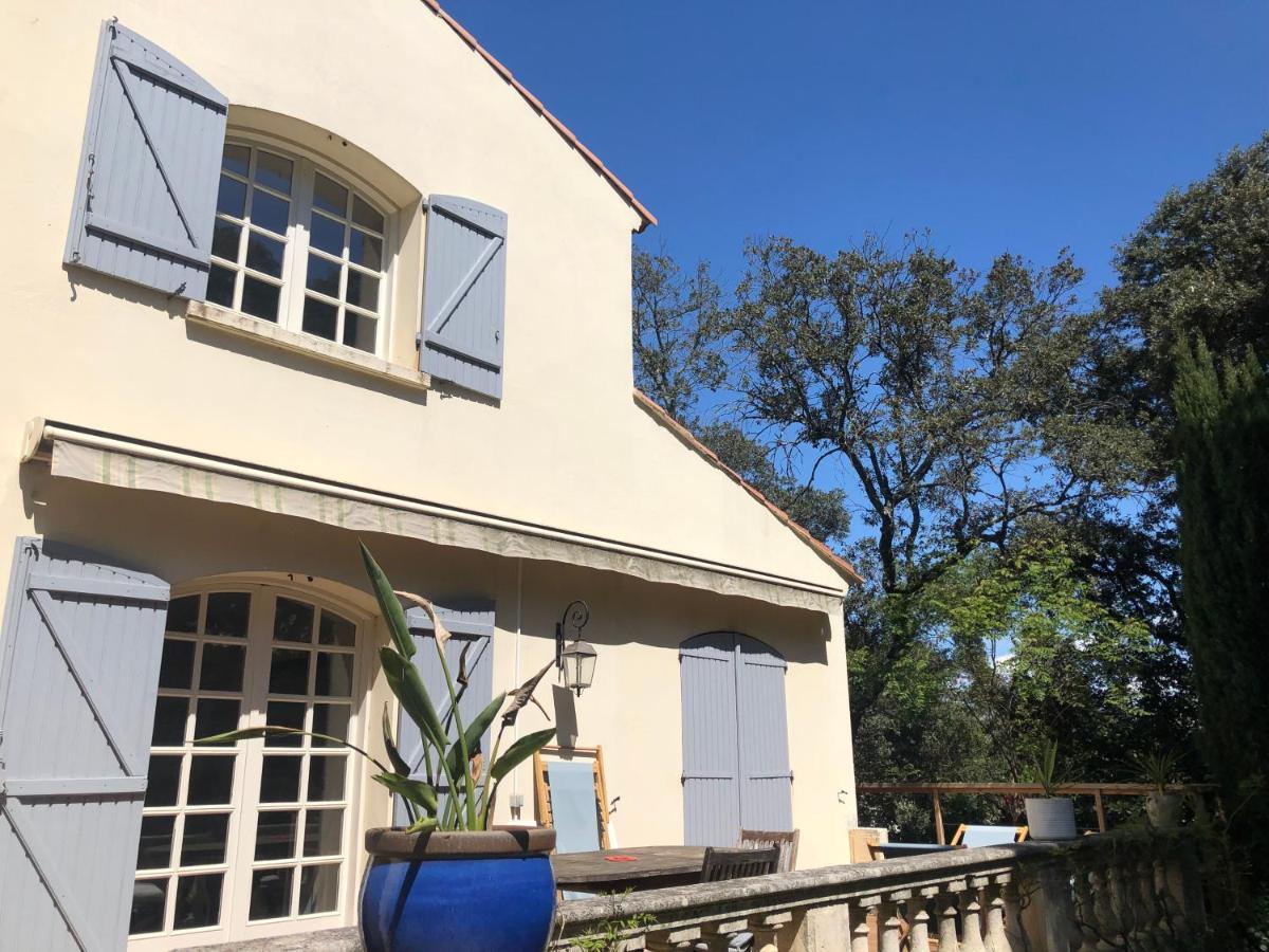 Villa Magnifique Demeure Familiale Castries Exterior foto